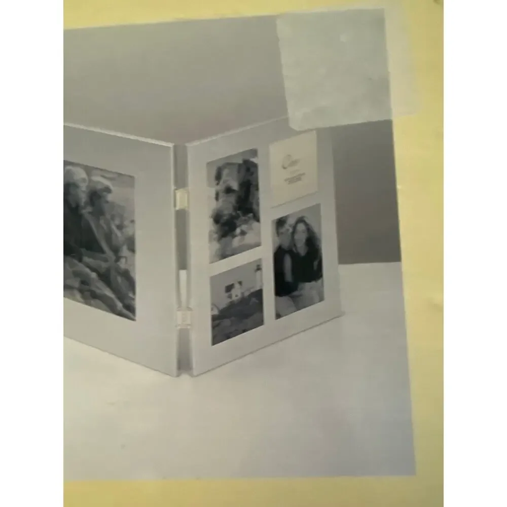 Vintage Carr Brushed Silver Trifold Photo collage - holds 9 photos